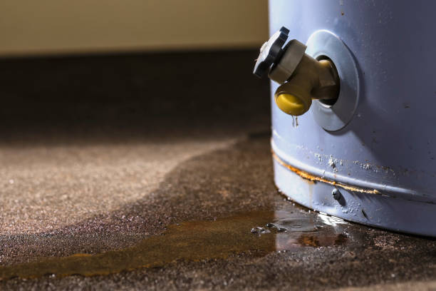 Best Local water damage restoration  in Falmouth, VA