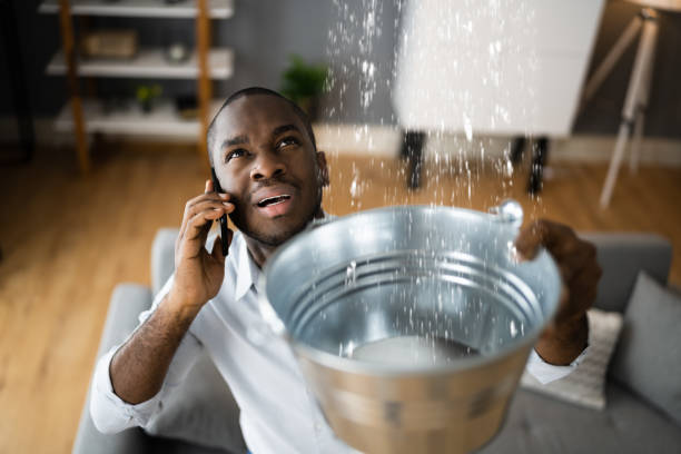 Best Local water damage restoration  in Falmouth, VA