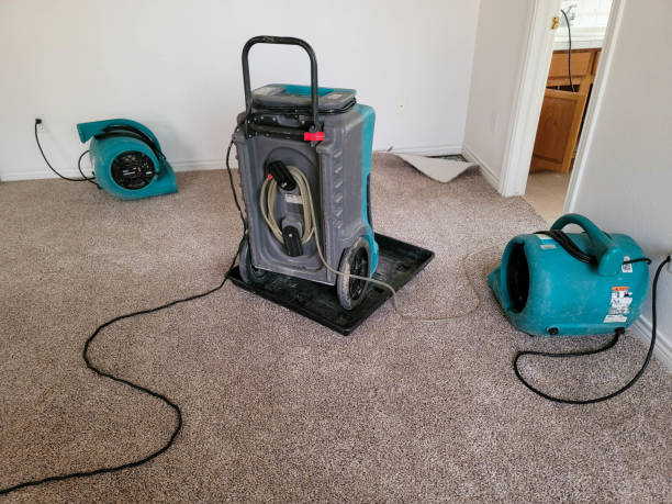 Best Flooded house restoration  in Falmouth, VA