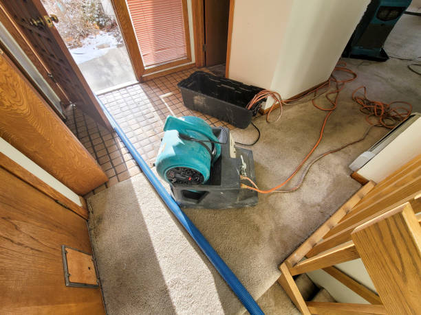 Best Ceiling water damage repair  in Falmouth, VA