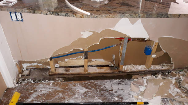 Best Water damage cleanup near me  in Falmouth, VA