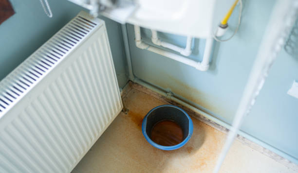 Best Flood damage cleanup  in Falmouth, VA