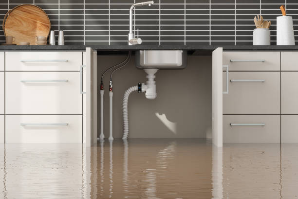 Best Flood restoration services  in Falmouth, VA