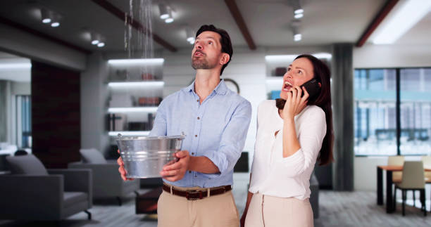 Best Water damage contractors near me  in Falmouth, VA