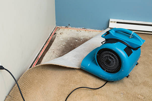 Best Sewage cleanup and water damage restoration  in Falmouth, VA